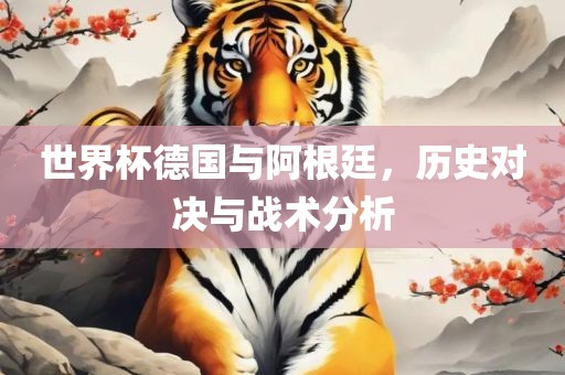世界杯德国与阿根廷，历史对决与战术分析
