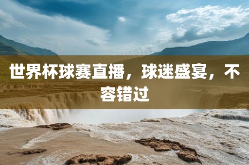 世界杯球赛直播，球迷盛宴，不容错过眉山市正发家政服务有限公司