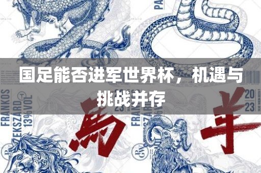 国足能否进眉山市正发家政服务有限公司军世界杯，机遇与挑战并存