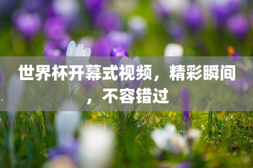 世界杯开幕式视频，精彩瞬间，不容错过眉山市正发家政服务有限公司