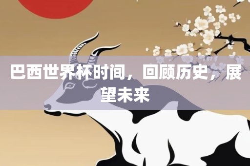 巴眉山市正发家政服务有限公司西世界杯时间，回顾历史，展望未来