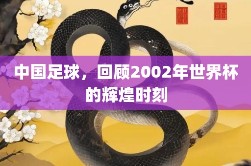 中国足球，回顾2002年世界杯的辉煌时刻眉山市正发家政服务有限公司