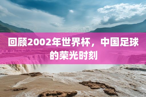 回顾2002年世界杯，中国足球的荣光时刻眉山市正发家政服务有限公司