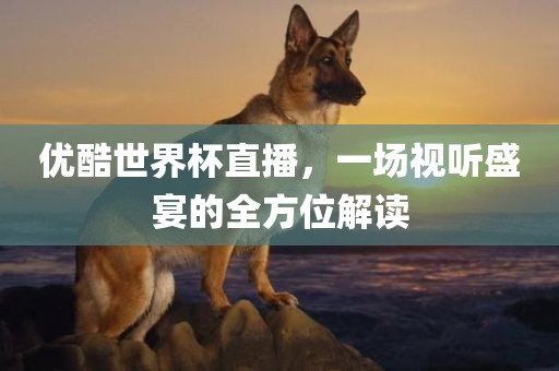 优酷世界杯直播，一场视听盛宴的全方位解读