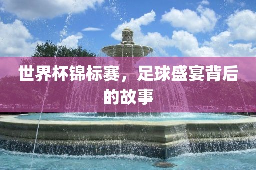 世界杯锦标赛，足球盛宴背后的故事