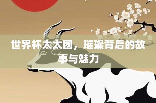 世界杯太太团，璀璨眉山市正发家政服务有限公司背后的故事与魅力