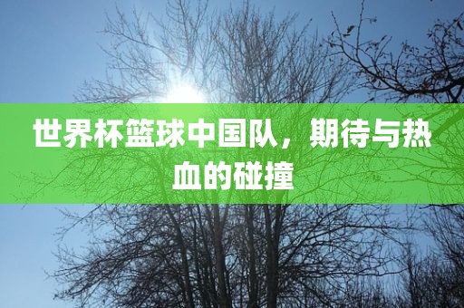 世界杯篮眉山市正发家政服务有限公司球中国队，期待与热血的碰撞
