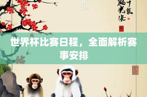 世界杯比赛日程，全面解析赛事安排