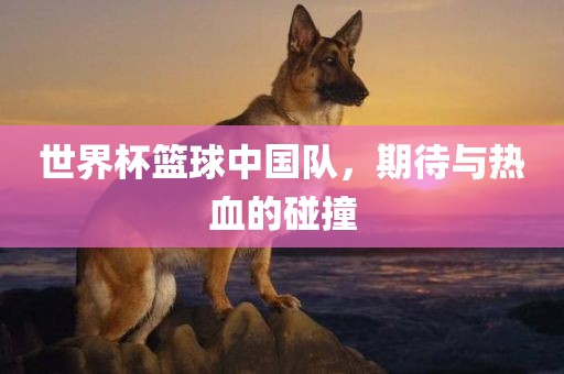 世界杯篮球中国队，期待与热血的碰撞
