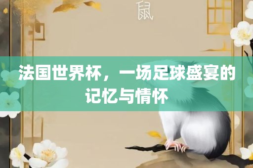 法国世眉山市正发家政服务有限公司界杯，一场足球盛宴的记忆与情怀