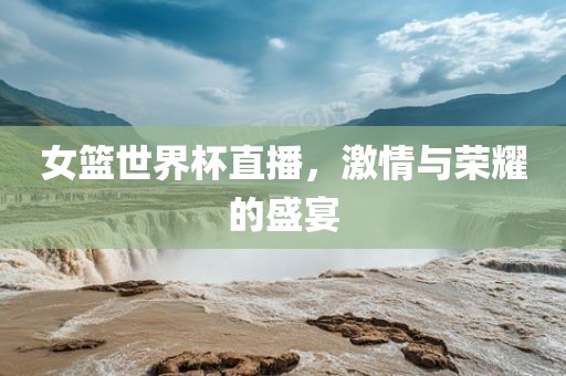 女篮世界杯直播，激情与荣耀的盛宴眉山市正发家政服务有限公司