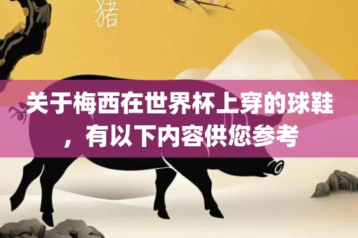 关于梅西在世界杯上穿的球鞋，有以下内容供您参考