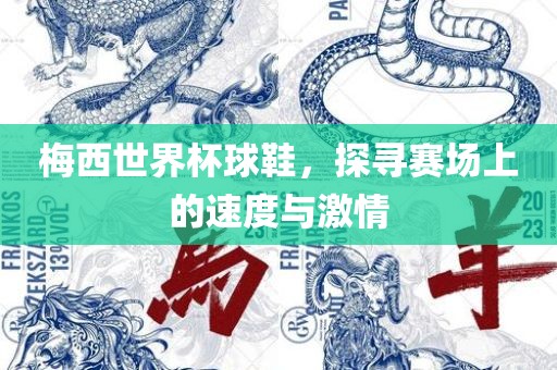 梅西世界杯球鞋，探寻赛场上的速度与激情