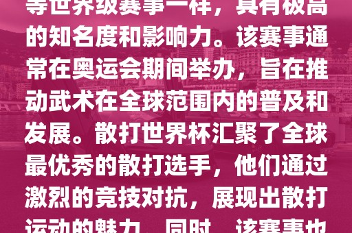 散打世界杯是世界武术散打最高水平的赛事之一，与奥运会等世界级赛事一样，具有极高的知名度和影响力。该赛事通常在奥运会期间举办，旨在推动武术在全球范围内的普及和发展。散打世界杯汇聚了全球最优秀的散打选手，他们通过激烈的竞技对抗，展现出散打运动的魅力。同时，该赛事也是推动不同国家和地区之间文化交流的重要平台。