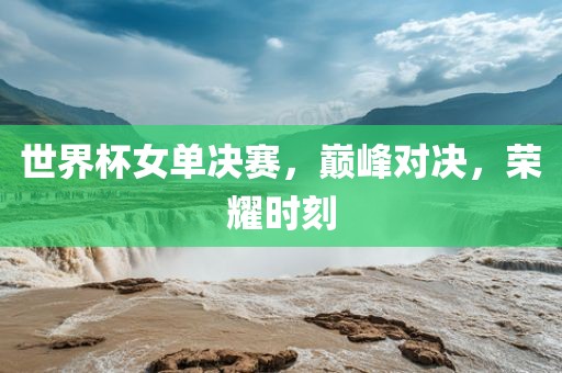 世界杯女单决赛，巅峰对决，荣耀时刻