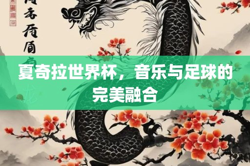 夏奇拉世界杯，音乐与足球的完美融合眉山市正发家政服务有限公司