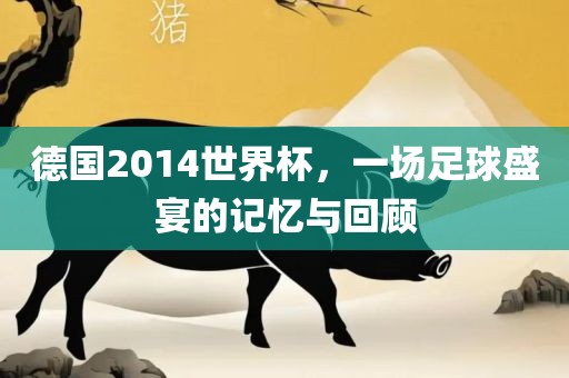 德国2014世界杯，一场足球盛宴的记忆与回顾眉山市正发家政服务有限公司