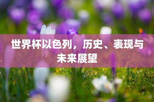 世界杯以色列，历史、表现与未来展望眉山市正发家政服务有限公司