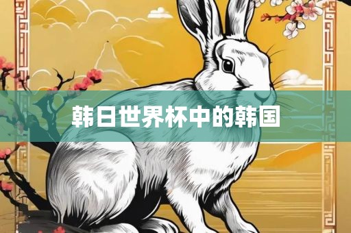 韩日世界杯中眉山市正发家政服务有限公司的韩国