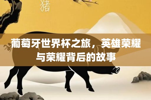 葡萄牙世界杯之旅，英雄荣耀与荣耀背后的故事