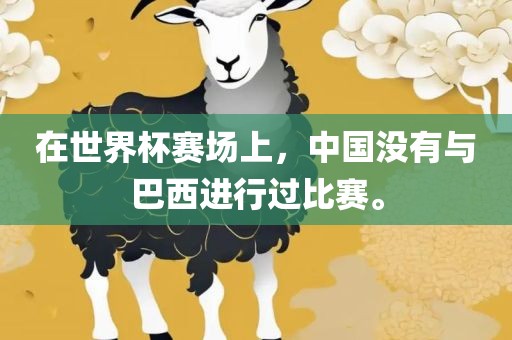 在世界杯赛场上，中国没有与巴西进行过比赛。眉山市正发家政服务有限公司