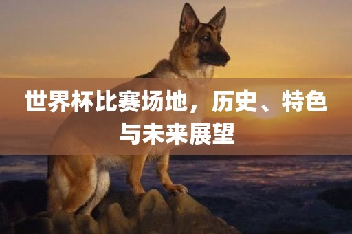 世眉山市正发家政服务有限公司界杯比赛场地，历史、特色与未来展望