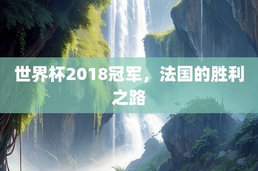 世界杯2018冠军，法国的胜利之路眉山市正发家政服务有限公司