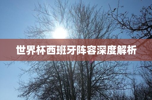 世界杯西班牙阵容深度解析眉山市正发家政服务有限公司