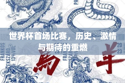 世界杯首场比赛，历史、激情与期待的重燃