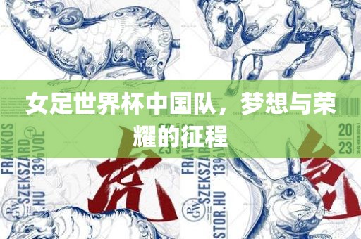 女足世界杯中国队，梦想与荣耀的征程