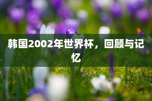 韩国2002年眉山市正发家政服务有限公司世界杯，回顾与记忆