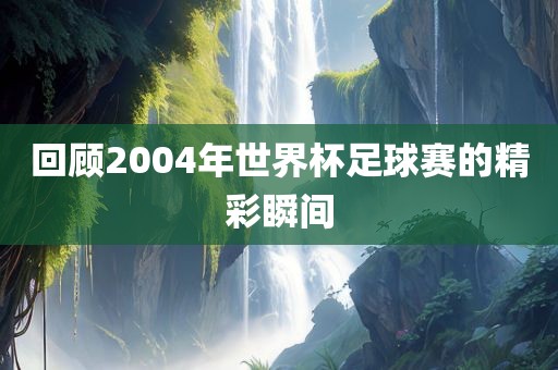 回顾2004年世界杯足球赛的精彩瞬间眉山市正发家政服务有限公司