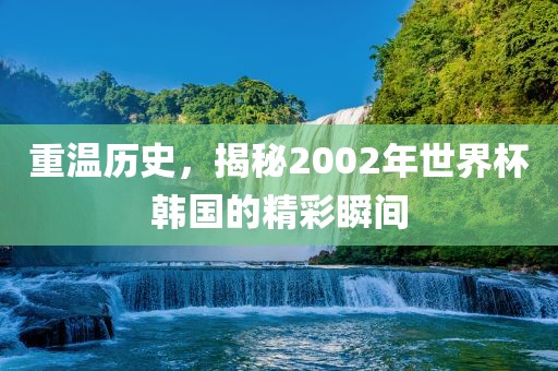 重温历史，揭秘2002年世界杯韩国的精彩瞬间眉山市正发家政服务有限公司