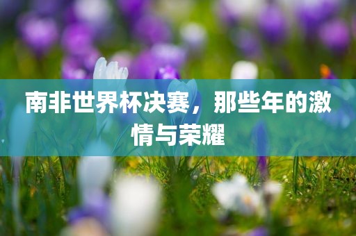 南非世界杯决赛，那些年的激情与荣耀