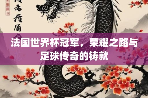 法国世界杯冠军，荣耀之路与足球传奇的铸就