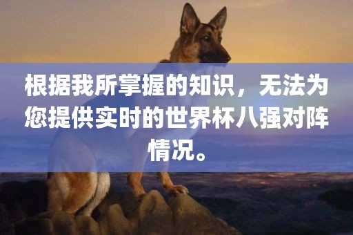 根据我所掌握的知识，无法为您提供实时的世界杯八强对阵情况。