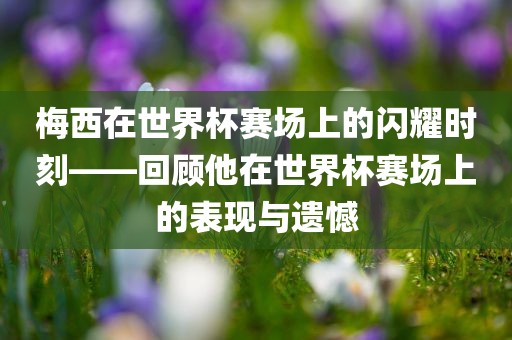 梅西在世界杯赛场上的闪耀时刻——回顾他在世界杯赛场上的表现与遗憾眉山市正发家政服务有限公司
