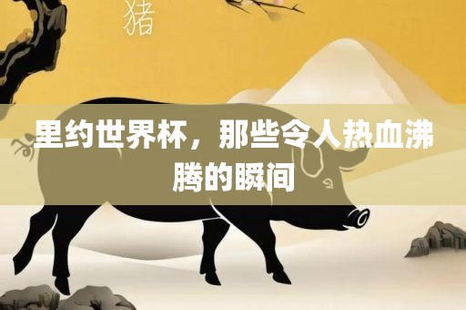 里约世界杯，那些令人热血沸腾的瞬间眉山市正发家政服务有限公司