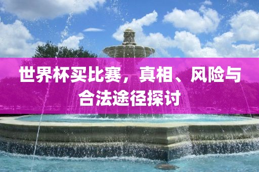 世界杯买比赛，真相、风险与合法途径探讨眉山市正发家政服务有限公司