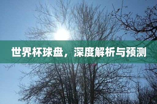 世界杯球盘，深度解析与预测眉山市正发家政服务有限公司