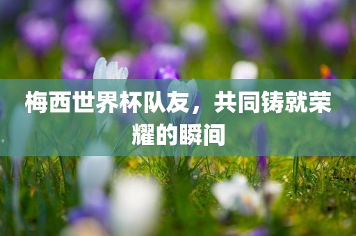 梅西世界杯队友，共同铸就荣耀的瞬间