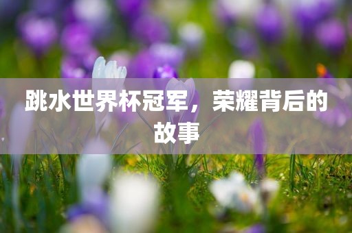 跳水世界杯冠军，荣耀背后的故事眉山市正发家政服务有限公司