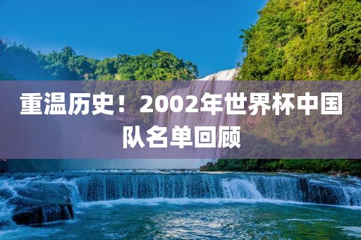 重温历史！2002年世界杯中国队名单回顾眉山市正发家政服务有限公司