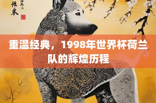 重温经典，1998年世界杯荷兰队的辉煌历程眉山市正发家政服务有限公司