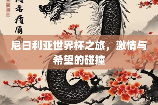 尼日利亚世界杯之旅，激情与希望的碰撞