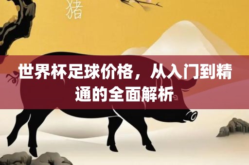 世界杯足球价格，从入门到精通的全面解析