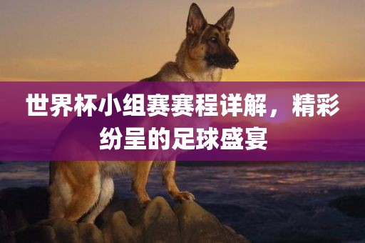 世界杯小组赛赛程详解，精彩纷呈的足球盛宴