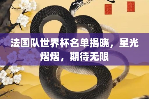 法国队世界杯名单揭晓，星光熠熠，期待无限