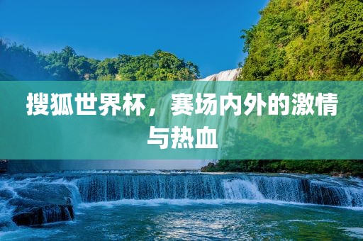 搜狐世界杯，赛场眉山市正发家政服务有限公司内外的激情与热血