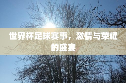 世界杯足球赛事，激情与荣耀的盛宴